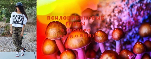 хмурый Алексин