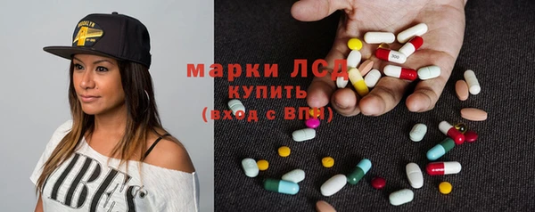 хмурый Алексин